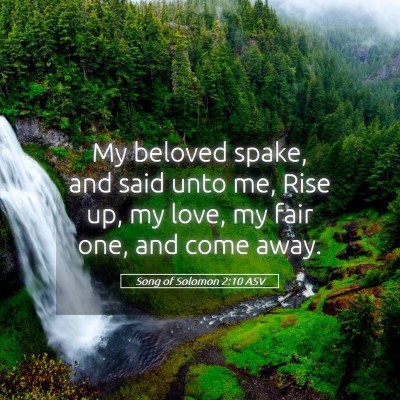 Picture 05 - Song of Solomon 2:10 ASV - My beloved spake, and said unto me, Rise up, my - Bible Verse Picture