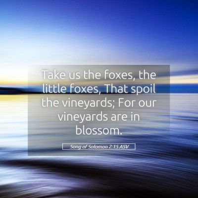 Picture 05 - Song of Solomon 2:15 ASV - Take us the foxes, the little foxes, That spoil - Bible Verse Picture