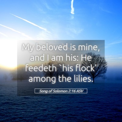 Picture 05 - Song of Solomon 2:16 ASV - My beloved is mine, and I am his: He feedeth `his - Bible Verse Picture