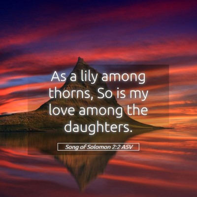 Picture 05 - Song of Solomon 2:2 ASV - As a lily among thorns, So is my love among the - Bible Verse Picture