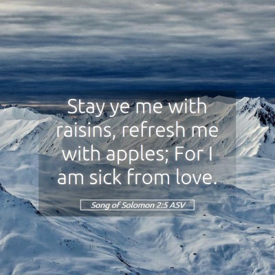 Picture 05 - Song of Solomon 2:5 ASV - Stay ye me with raisins, refresh me with apples; - Bible Verse Picture