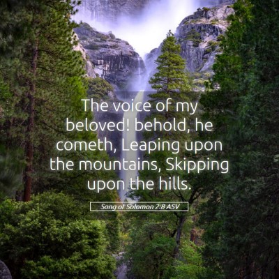 Picture 05 - Song of Solomon 2:8 ASV - The voice of my beloved! behold, he cometh, - Bible Verse Picture