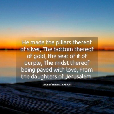 Picture 05 - Song of Solomon 3:10 ASV - He made the pillars thereof of silver, The bottom - Bible Verse Picture