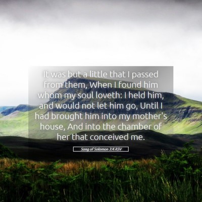 Picture 05 - Song of Solomon 3:4 ASV - It was but a little that I passed from them, When - Bible Verse Picture