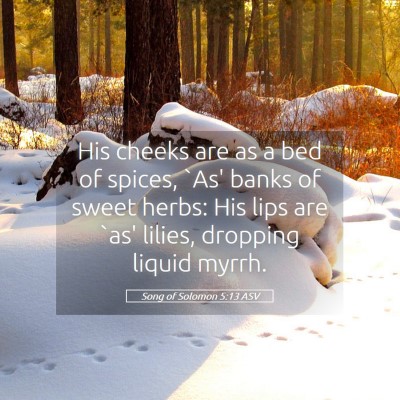 Picture 05 - Song of Solomon 5:13 ASV - His cheeks are as a bed of spices, `As' banks of - Bible Verse Picture