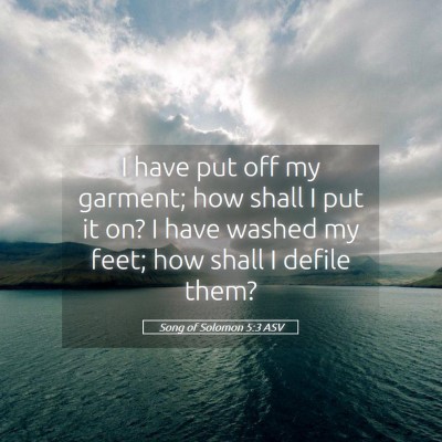 Picture 05 - Song of Solomon 5:3 ASV - I have put off my garment; how shall I put it on? - Bible Verse Picture