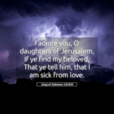 Picture 05 - Song of Solomon 5:8 ASV - I adjure you, O daughters of Jerusalem, If ye - Bible Verse Picture