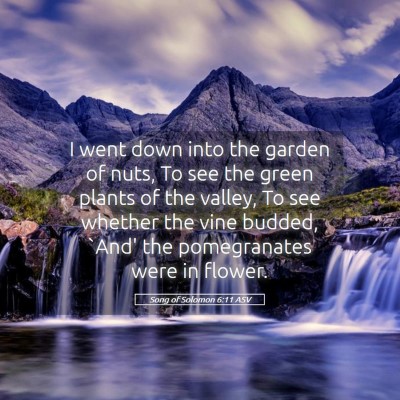 Picture 05 - Song of Solomon 6:11 ASV - I went down into the garden of nuts, To see the - Bible Verse Picture