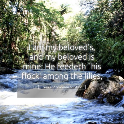 Picture 05 - Song of Solomon 6:3 ASV - I am my beloved's, and my beloved is mine; He - Bible Verse Picture