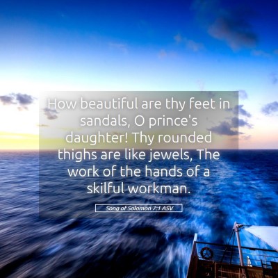 Picture 05 - Song of Solomon 7:1 ASV - How beautiful are thy feet in sandals, O prince's - Bible Verse Picture