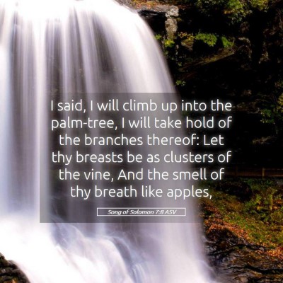 Picture 05 - Song of Solomon 7:8 ASV - I said, I will climb up into the palm-tree, I - Bible Verse Picture