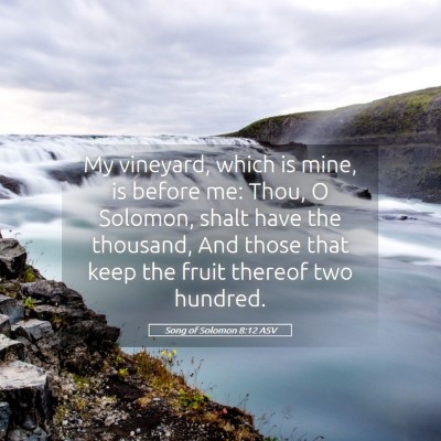 Picture 05 - Song of Solomon 8:12 ASV - My vineyard, which is mine, is before me: Thou, O - Bible Verse Picture