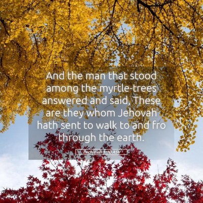 Picture 05 - Zechariah 1:10 ASV - And the man that stood among the myrtle-trees - Bible Verse Picture