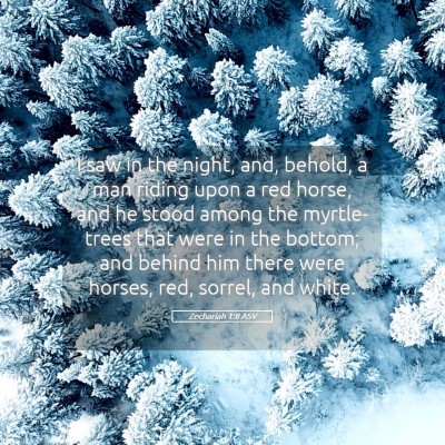 Picture 05 - Zechariah 1:8 ASV - I saw in the night, and, behold, a man riding - Bible Verse Picture