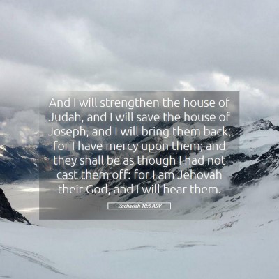 Picture 05 - Zechariah 10:6 ASV - And I will strengthen the house of Judah, and I - Bible Verse Picture
