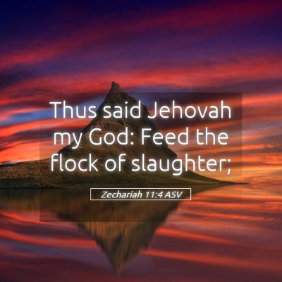 Picture 05 - Zechariah 11:4 ASV - Thus said Jehovah my God: Feed the flock of - Bible Verse Picture