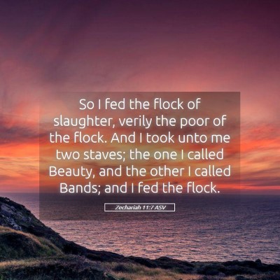 Picture 05 - Zechariah 11:7 ASV - So I fed the flock of slaughter, verily the poor - Bible Verse Picture