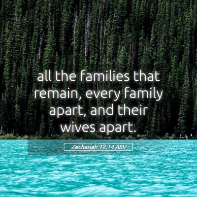 Picture 05 - Zechariah 12:14 ASV - all the families that remain, every family apart, - Bible Verse Picture