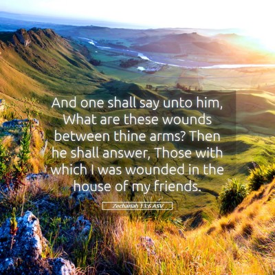 Picture 05 - Zechariah 13:6 ASV - And one shall say unto him, What are these wounds - Bible Verse Picture