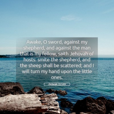 Picture 05 - Zechariah 13:7 ASV - Awake, O sword, against my shepherd, and against - Bible Verse Picture