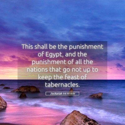 Picture 05 - Zechariah 14:19 ASV - This shall be the punishment of Egypt, and the - Bible Verse Picture