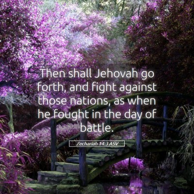 Picture 05 - Zechariah 14:3 ASV - Then shall Jehovah go forth, and fight against - Bible Verse Picture
