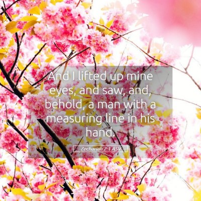 Picture 05 - Zechariah 2:1 ASV - And I lifted up mine eyes, and saw, and, behold, - Bible Verse Picture