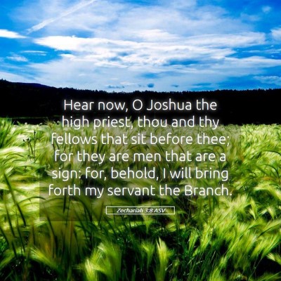 Picture 05 - Zechariah 3:8 ASV - Hear now, O Joshua the high priest, thou and thy - Bible Verse Picture