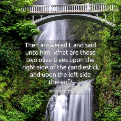 Picture 05 - Zechariah 4:11 ASV - Then answered I, and said unto him, What are - Bible Verse Picture
