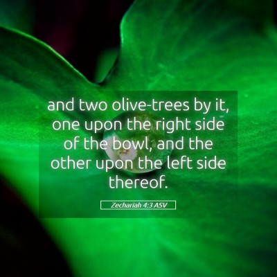Picture 05 - Zechariah 4:3 ASV - and two olive-trees by it, one upon the right - Bible Verse Picture