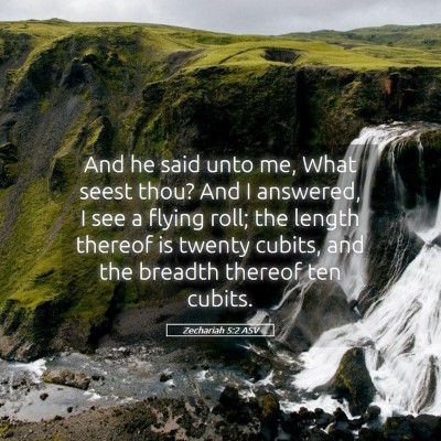 Picture 05 - Zechariah 5:2 ASV - And he said unto me, What seest thou? And I - Bible Verse Picture