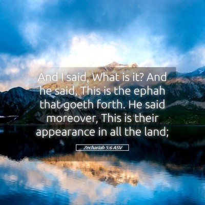 Picture 05 - Zechariah 5:6 ASV - And I said, What is it? And he said, This is the - Bible Verse Picture