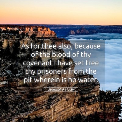 Picture 05 - Zechariah 9:11 ASV - As for thee also, because of the blood of thy - Bible Verse Picture