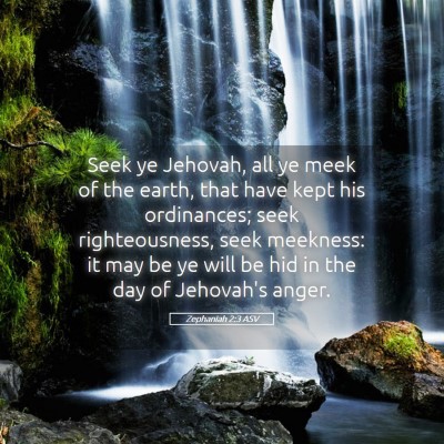 Picture 05 - Zephaniah 2:3 ASV - Seek ye Jehovah, all ye meek of the earth, that - Bible Verse Picture