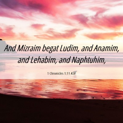 Picture 06 - 1 Chronicles 1:11 ASV - And Mizraim begat Ludim, and Anamim, and Lehabim, - Bible Verse Picture