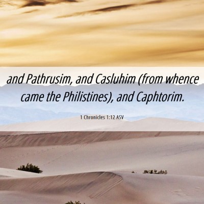 Picture 06 - 1 Chronicles 1:12 ASV - and Pathrusim, and Casluhim (from whence came the - Bible Verse Picture