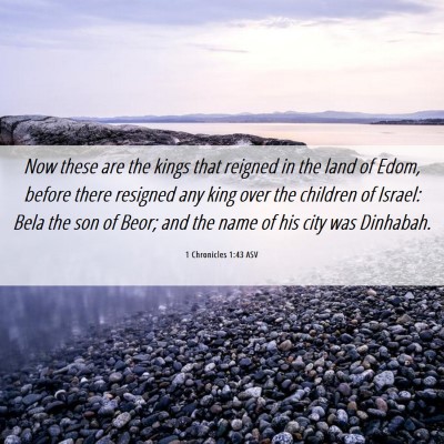 Picture 06 - 1 Chronicles 1:43 ASV - Now these are the kings that reigned in the land - Bible Verse Picture
