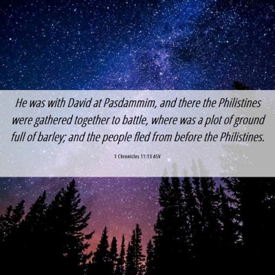 Picture 06 - 1 Chronicles 11:13 ASV - He was with David at Pasdammim, and there the - Bible Verse Picture
