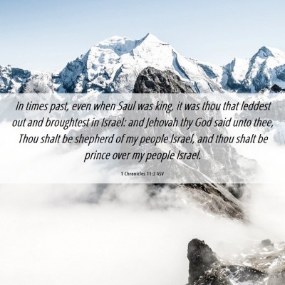 Picture 06 - 1 Chronicles 11:2 ASV - In times past, even when Saul was king, it was - Bible Verse Picture
