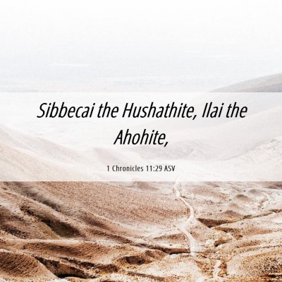 Picture 06 - 1 Chronicles 11:29 ASV - Sibbecai the Hushathite, Ilai the - Bible Verse Picture