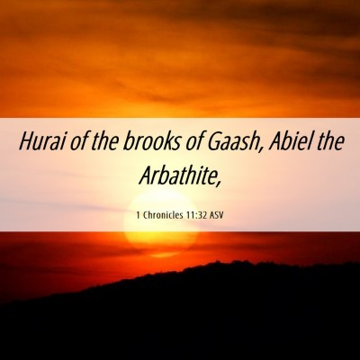 Picture 06 - 1 Chronicles 11:32 ASV - Hurai of the brooks of Gaash, Abiel the - Bible Verse Picture