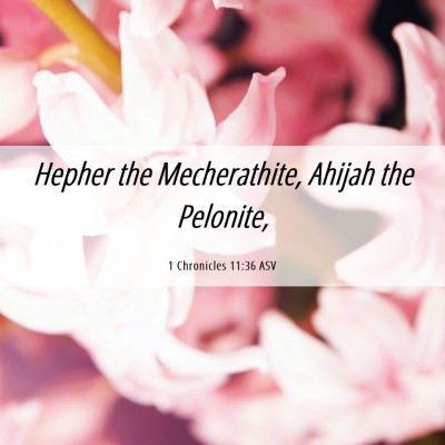 Picture 06 - 1 Chronicles 11:36 ASV - Hepher the Mecherathite, Ahijah the - Bible Verse Picture