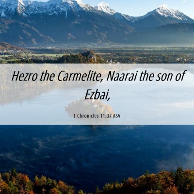 Picture 06 - 1 Chronicles 11:37 ASV - Hezro the Carmelite, Naarai the son of - Bible Verse Picture