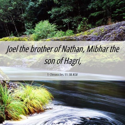 Picture 06 - 1 Chronicles 11:38 ASV - Joel the brother of Nathan, Mibhar the son of - Bible Verse Picture