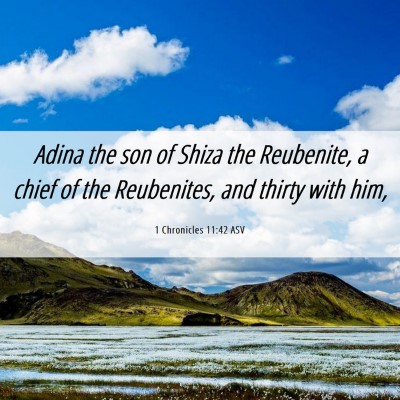 Picture 06 - 1 Chronicles 11:42 ASV - Adina the son of Shiza the Reubenite, a chief of - Bible Verse Picture