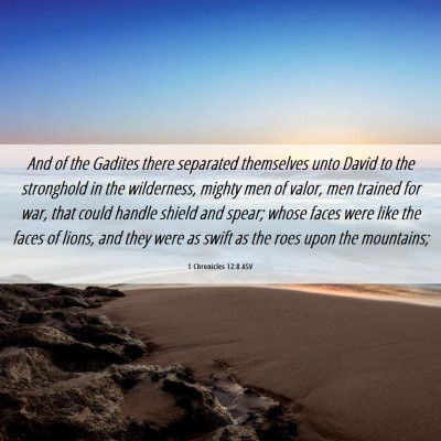 Picture 06 - 1 Chronicles 12:8 ASV - And of the Gadites there separated themselves - Bible Verse Picture