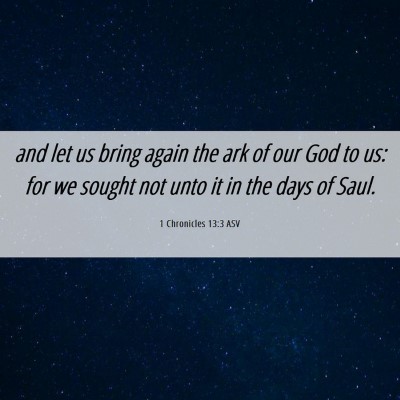Picture 06 - 1 Chronicles 13:3 ASV - and let us bring again the ark of our God to us: - Bible Verse Picture