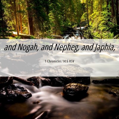 Picture 06 - 1 Chronicles 14:6 ASV - and Nogah, and Nepheg, and - Bible Verse Picture