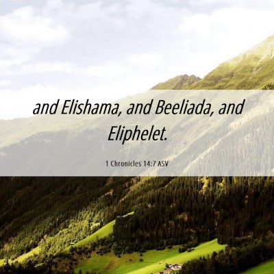 Picture 06 - 1 Chronicles 14:7 ASV - and Elishama, and Beeliada, and - Bible Verse Picture