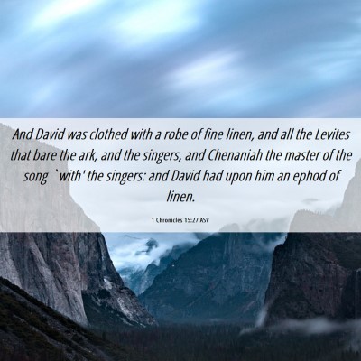 Picture 06 - 1 Chronicles 15:27 ASV - And David was clothed with a robe of fine linen, - Bible Verse Picture